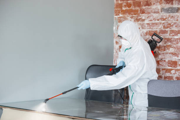 Mold Remediation for Rental Properties in Fort Mohave, AZ